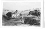 Indians Killing Buffalos by Anonymous