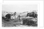 Indians Killing Buffalos by Anonymous