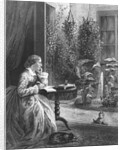 Harriet Beecher Stowe Writing at Home by Anonymous