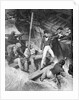 Lieutenant Nelson Volunteering to Board Boat by Anonymous
