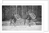 Soldiers Riding Bicycles by Anonymous