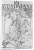 Depiction of Incans Cultivating Medicinal Herbs by Anonymous