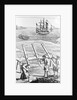 Early Cannons Defending Coast by Anonymous