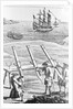 Early Cannons Defending Coast by Anonymous