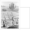 Early Cannons Defending Coast by Anonymous