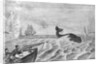 Man Whaling with Harpoon Gun by Anonymous