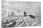 Man Whaling with Harpoon Gun by Anonymous