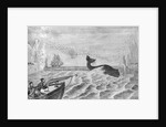 Man Whaling with Harpoon Gun by Anonymous