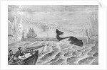 Man Whaling with Harpoon Gun by Anonymous