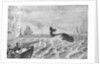 Man Whaling with Harpoon Gun by Anonymous