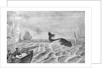 Man Whaling with Harpoon Gun by Anonymous