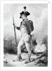 U. S. Army Revolutionary Soldier by Anonymous