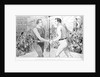Champion and Ex-Champion Cheered Print by Anonymous