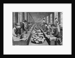 Seamstress Assembly Line in Factory by Anonymous