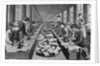 Seamstress Assembly Line in Factory by Anonymous