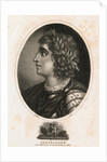 Side View Portrait of Alcibiades by Anonymous