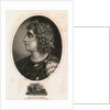 Side View Portrait of Alcibiades by Anonymous