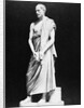 Marble Bust of Greek Orator Demosthenes by Anonymous