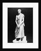 Marble Bust of Greek Orator Demosthenes by Anonymous