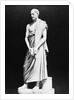 Marble Bust of Greek Orator Demosthenes by Anonymous