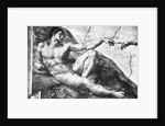 Detail of Creation of Adam by Michelangelo