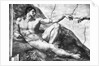 Detail of Creation of Adam by Michelangelo