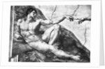 Detail of Creation of Adam by Michelangelo