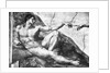 Detail of Creation of Adam by Michelangelo