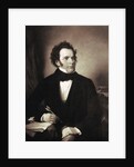 Portrait of Franz Schubert by Anonymous