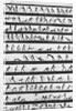 Primitive Newsreel by Anonymous