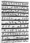 Primitive Newsreel by Anonymous