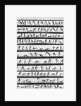 Primitive Newsreel by Anonymous