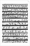 Primitive Newsreel by Anonymous