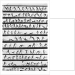 Primitive Newsreel by Anonymous