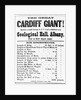 Poster for Cardiff Giant by Anonymous
