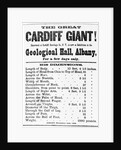 Poster for Cardiff Giant by Anonymous