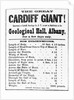 Poster for Cardiff Giant by Anonymous