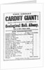 Poster for Cardiff Giant by Anonymous