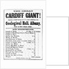 Poster for Cardiff Giant by Anonymous