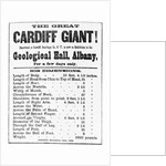 Poster for Cardiff Giant by Anonymous