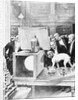 Dog Being Experimented on by Scientist by Anonymous