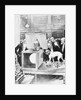 Dog Being Experimented on by Scientist by Anonymous