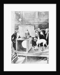 Dog Being Experimented on by Scientist by Anonymous