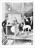 Dog Being Experimented on by Scientist by Anonymous