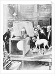 Dog Being Experimented on by Scientist by Anonymous