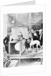 Dog Being Experimented on by Scientist by Anonymous