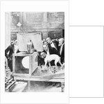 Dog Being Experimented on by Scientist by Anonymous