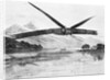 Steam Engined Airplane Flying by Anonymous