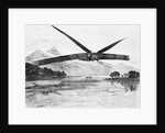 Steam Engined Airplane Flying by Anonymous