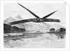 Steam Engined Airplane Flying by Anonymous